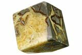 Wide, Polished Septarian Cube - Utah #169524-1